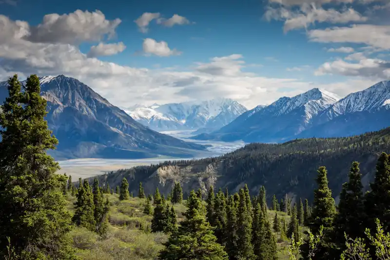 Alpine Mountain Range