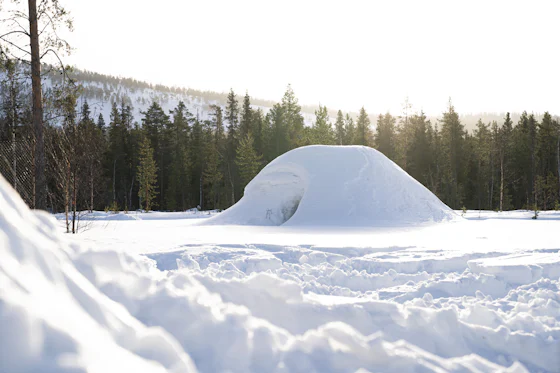 Igloo in the forest clearing