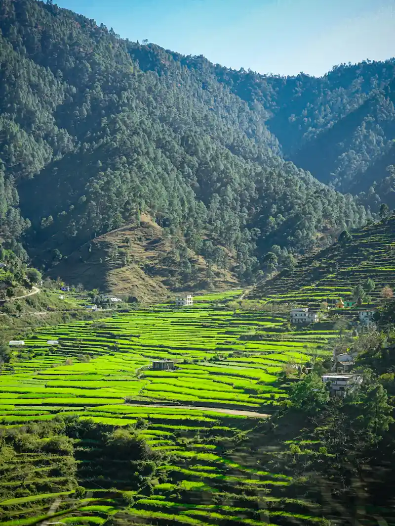 Best Summer Treks in Uttarakhand: Flowers, Glaciers and High Meadows