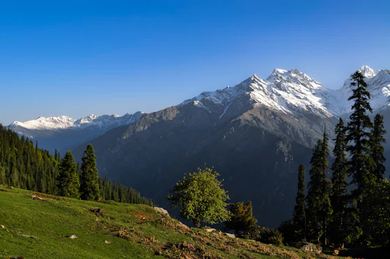 Manali, Kasol and Jibhi: A First-Timer's Guide